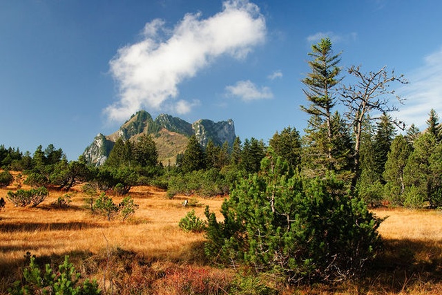 Hochmoor Amden