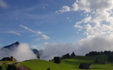 Arvenbüel im August