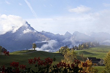 enjoy the autumnal morning atmosphere from your window or balcony