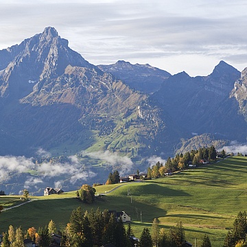 Spazierweg zum Chapf am Morgen