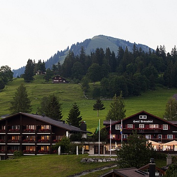 Hotel Arvenbüel Natur