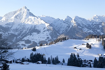 Morgenstimmung im Winter
