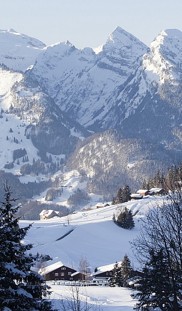 Aussicht auf Glarner Alpen
