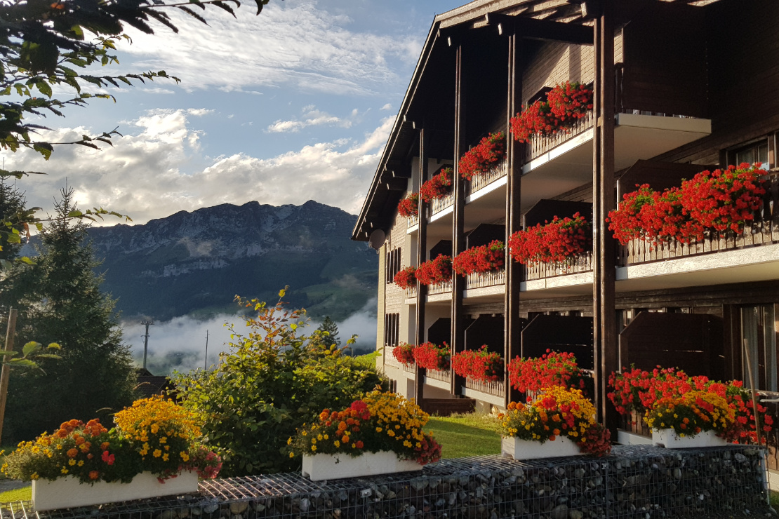 Floral splendour adorns the Arvenbüel